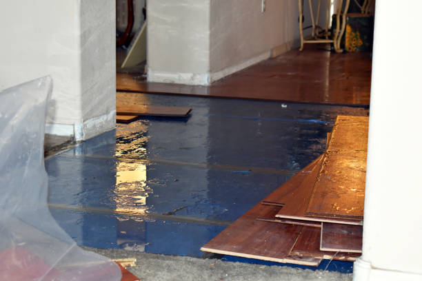 Professional Burst Pipe Cleanup technician working in Briceville, TN
